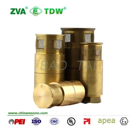 Brass Spring Check Valve with Filter Brass Foot Valve 1&prime; &prime; /1-1/2&prime; &prime;