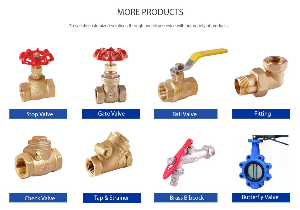 DIN259 Thread 2&quot; Brass Spring Check Valves Female X Female