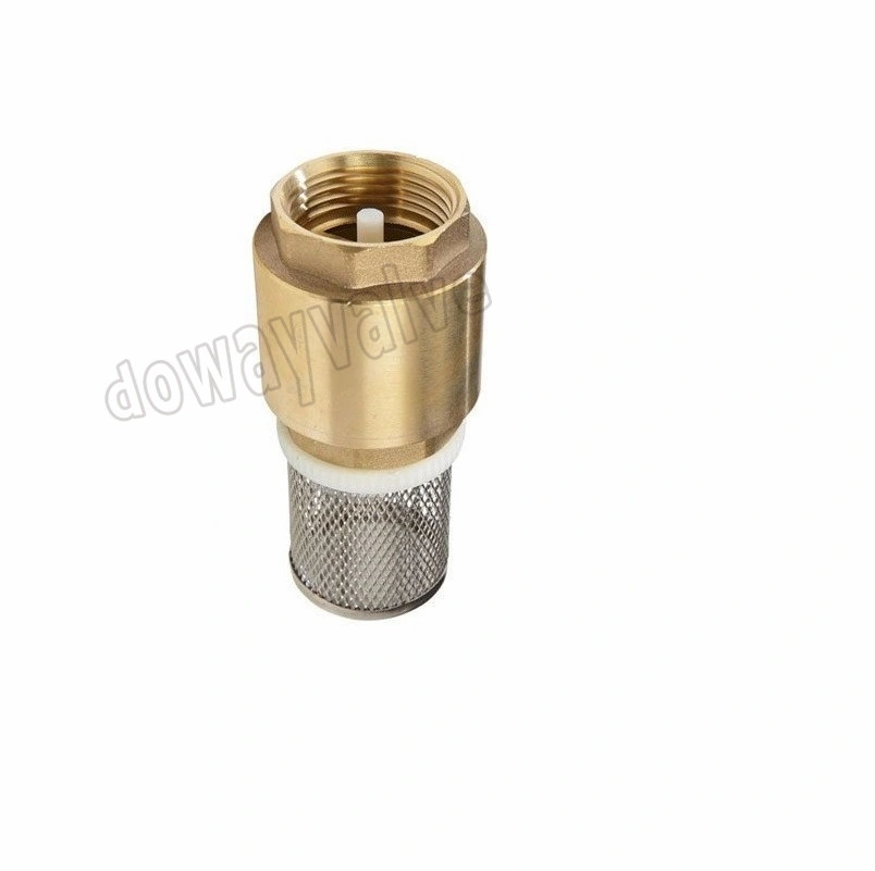 OEM/ODM Factory Forged Brass Non Return Spring Check Valve Inline Plasted in Polymer