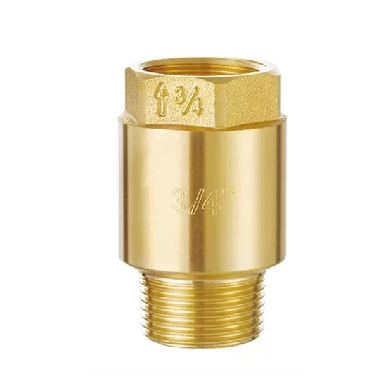 DIN259 Thread 2&quot; Brass Spring Check Valves Female X Female