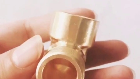 Brass Joint Pipe Fittings Cross Fitting (FEX-2015)