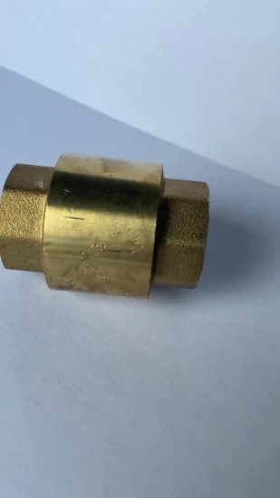 Brass Spring-Loaded Check Valve