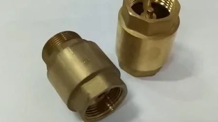 OEM/ODM Factory Forged Brass Non Return Spring Check Valve Inline Plasted in Polymer