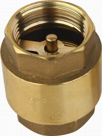 Bmag Brass Core Vertical Spring Non-Return Check Valve