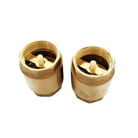 Brass Spring Check Valve with Plastic Core