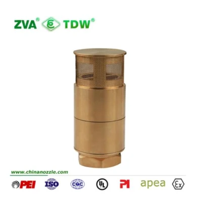 Brass Spring Check Valve with Filter Brass Foot Valve 1′ ′ /1-1/2′ ′